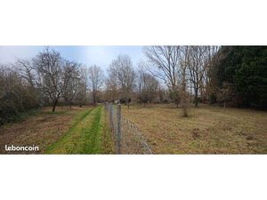 Terrain de loisir 3 151 m² clôturé – accès direct  idéal détente / nature