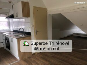 ? Superbe T1 rénové – 45 m² au sol combles aménagés – Centre de Vieux Charmont