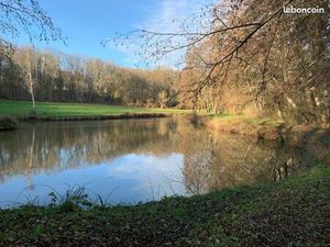 Terrain de loisirs avec étang