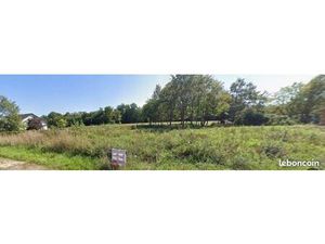 Terrain constructible