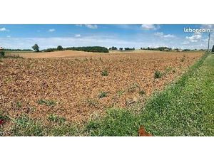 Terrain 1300 m2 Castella