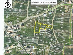 URGENT.. Vend un LOT de plusieurs parcelles de VIGNES