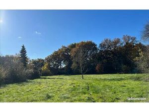 Terrain 1 433 m² Muret