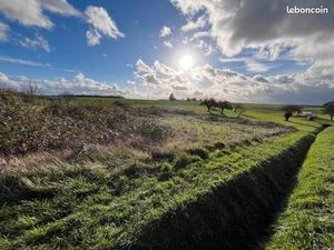 Terrain 1 119 m² Blere