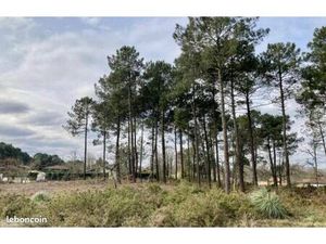 Terrain 600 m² Brach