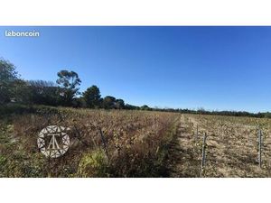 Terrain 4247 m² Montesquieu-des-Albères