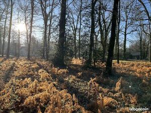 Terrain 3 537 m² Grayan Et L Hopital