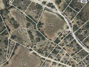 Terrain en nature de landes