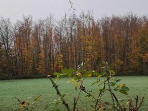 Terrain constructible 887m2 à Proximité de Barentin  Yvetot  Le Trait libre de constructeu