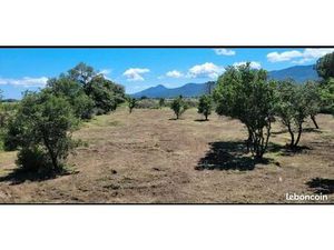 ARGELES S/MER Terrain agricole 3240 m2