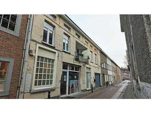 Recent gerenoveerd appartement in het centrum van Eeklo!