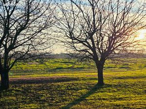Terrains constructibles à vendre