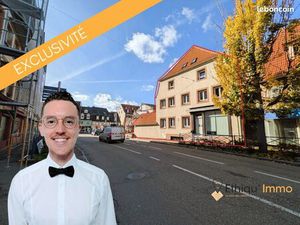 Immeuble 227 m² Saverne