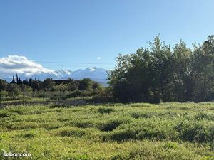 Terrain constructible à vendre – Saint-Féliu-d’Amont (66170)