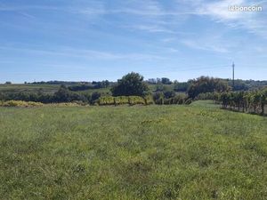 Terrain 1 201 m² Capian