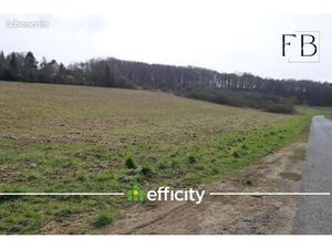 Terrain 6 572 m² Sainte Genevieve