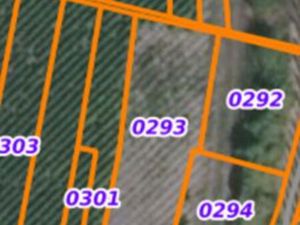 Terre a vigne champagne