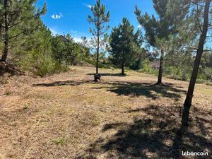 Terrain 14 560 m² Beynat