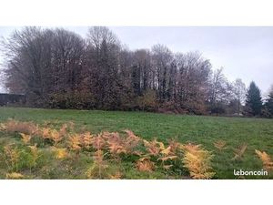 Terrain 8 315 m² Saint Jal