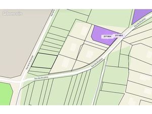 Terrain boisé 800m² facilement viabilisable