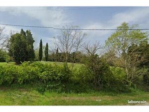 Terrain 1 543 m² Lavaur