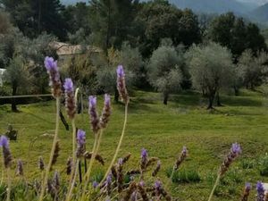 Blausasc – terrain à bâtir avec projet autorisé – nouveau prix 590 000