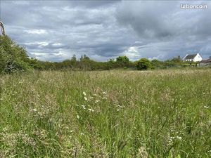 Terrain 1 355 m² Camaret Sur Mer