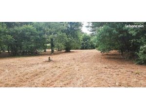 Terrain 750 m² Mios