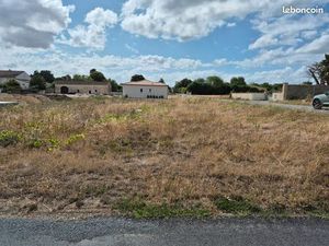 Terrain constructible