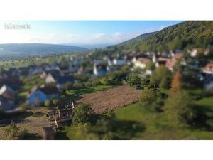 Terrain à bâtir – 27 35 ares – Haegen (67700)