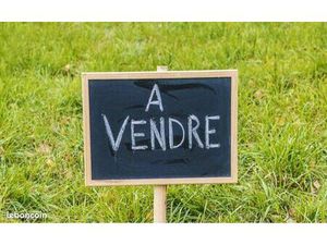 Terrain constructible