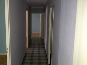 Top affaire pour bricoleur