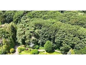 Magnifique terrain boisé dans un