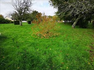 Terrain 1 137 m² Fouesnant