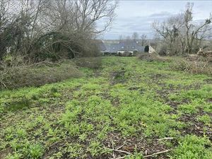 Terrain 2 024 m² Crozon
