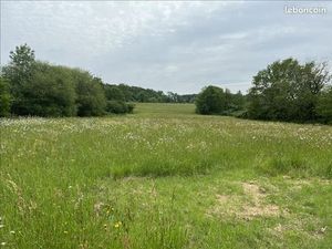 Terrain 6 000 m² Ecuras