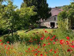 RARE à LAXOU (proche NANCY)