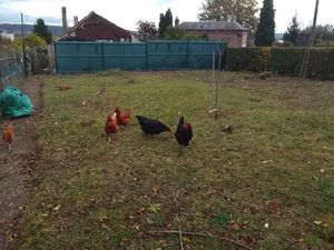 Vends terrain à bâtir