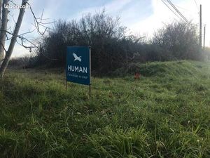 Terrain 4 459 m² Jegun