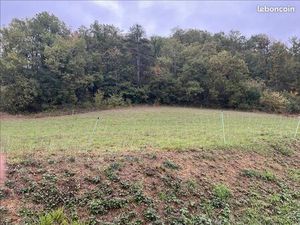 Terrain 2 393 m² Malabat