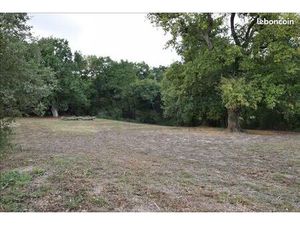 Terrain 5 050 m² Projan