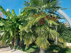 Maison à vendre jebsheim
