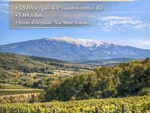 Terrain Vignoble Vinsobres