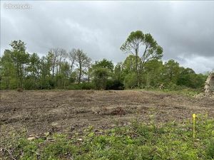 Terrain 3 750 m² Soumoulou