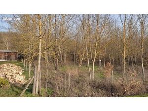 Terrain de pêche  loisirs