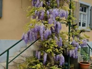 Vends appartement 4 pièces