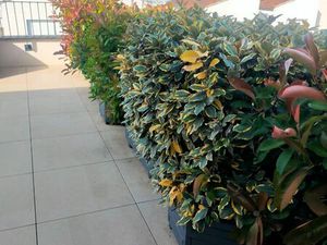 Immobilier appartement T3 résidence sécurisée