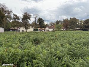 Terrain 573 m² Bas Mauco