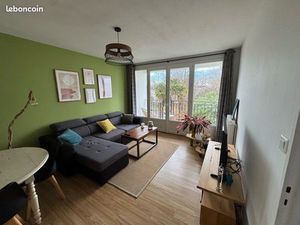 Beau T3 traversant lumineux - Billère