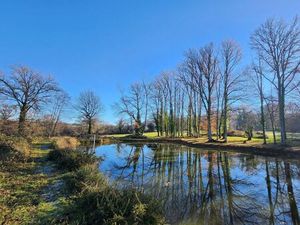 Terrain avec étang